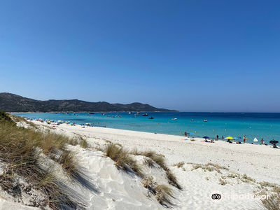 Plage de Saleccia