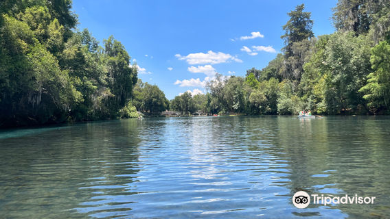 Bosque de las Truchas