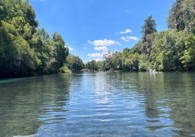 Bosque de las Truchas