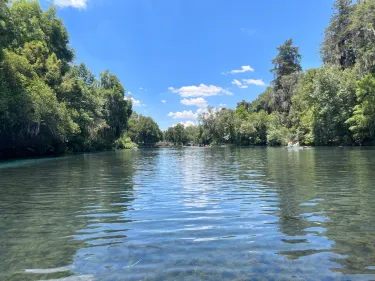 Bosque de las Truchas