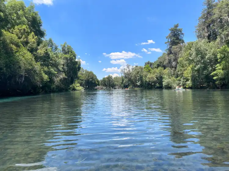 Hotels near Bosque de las Truchas