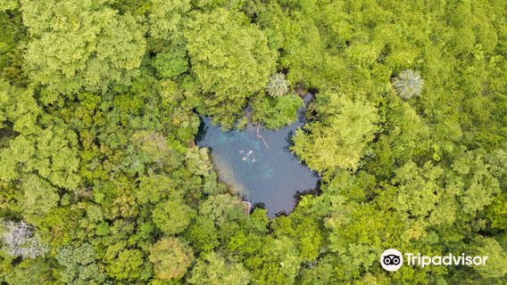 Parco ecologico degli occhi degli indigeni