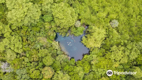 Reserva Ecologica Ojos Indigenas (Los Ojos Eco Journey)