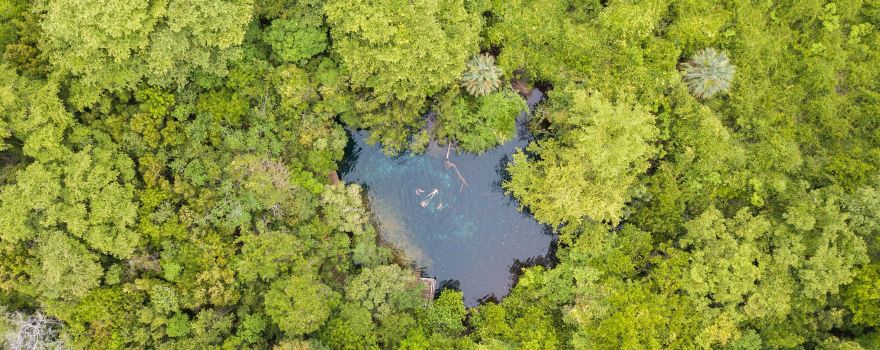 Reserva Ecologica Ojos Indigenas (Los Ojos Eco Journey)