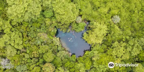 土著眼生態公園