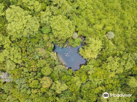 Indigenous Eyes Ecological Reserve