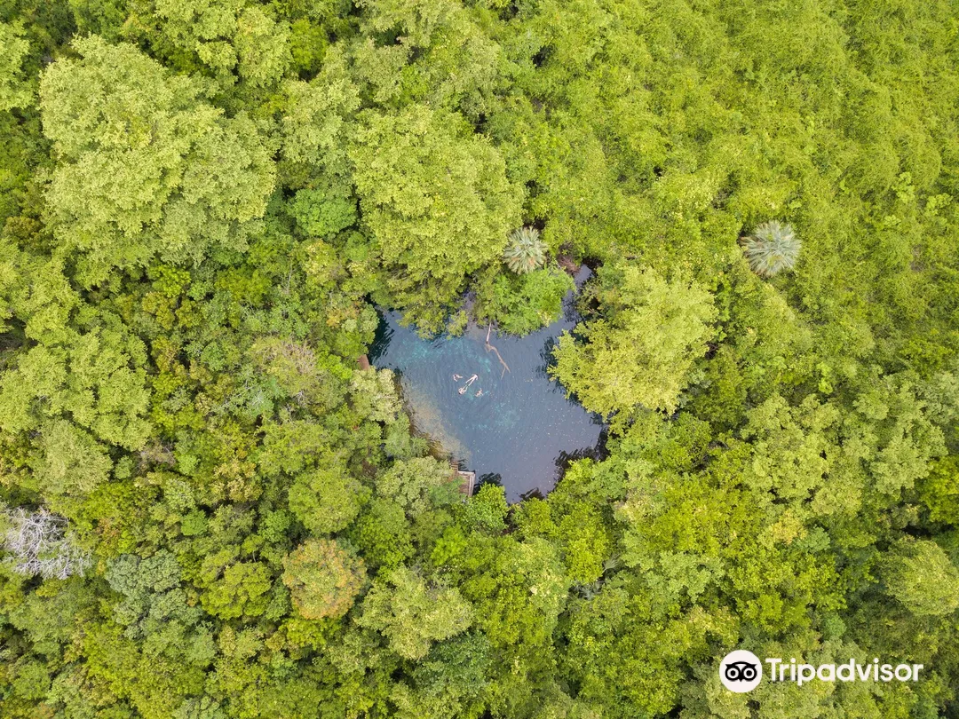 1_Reserva Ecologica Ojos Indigenas (Los Ojos Eco Journey)