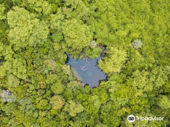 インディジニアス・アイズ自然公園