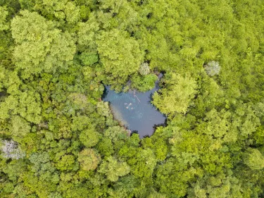 Reserva Ecologica Ojos Indigenas (Los Ojos Eco Journey)
