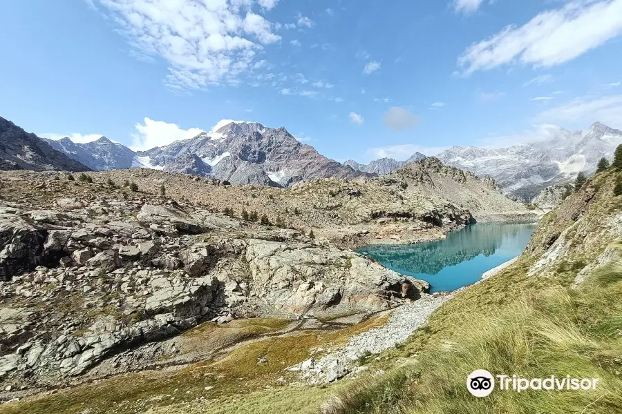 Rifugio Ventina - Day Excursions