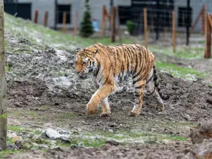 弗里斯蘭水族動物園