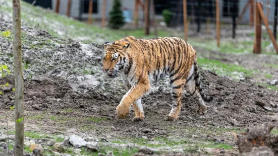 弗里斯蘭水族動物園