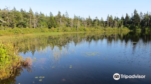 Penobscot Mountain