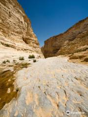 Avdat National Park