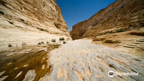 Avdat National Park