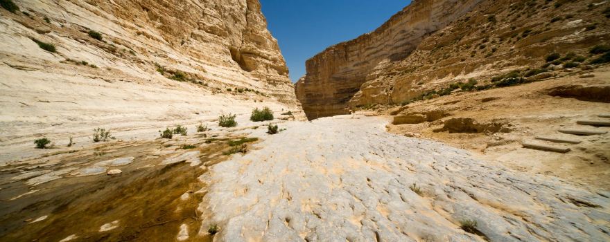 Avdat National Park