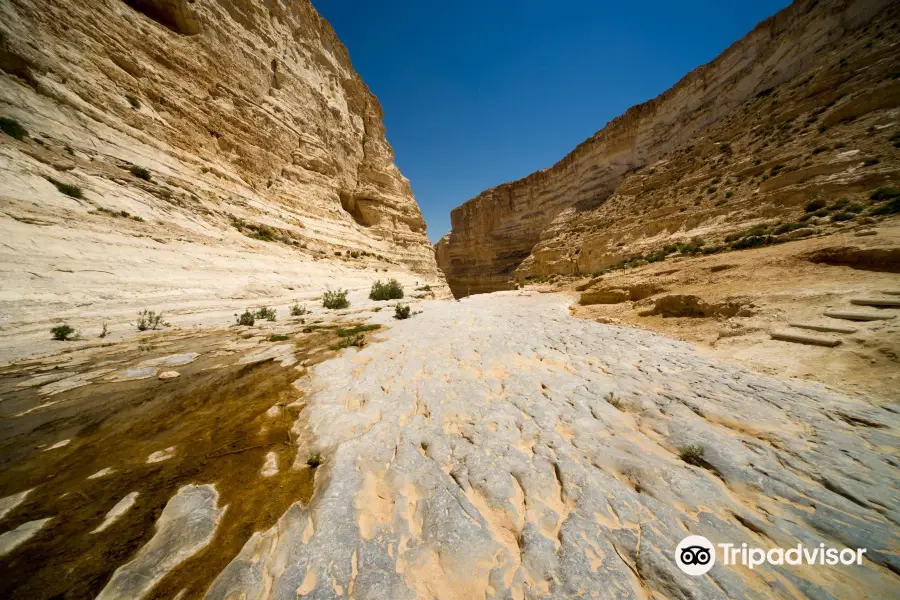 Avdat National Park