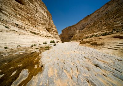 Avdat National Park