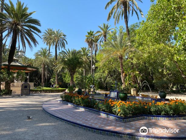 Compare 5 airports near Elche