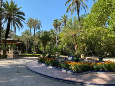 The Palmeral of Elche