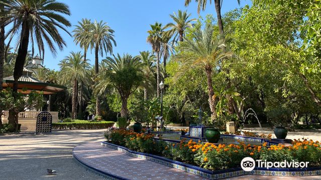 The Palmeral of Elche