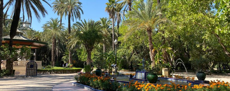 The Palmeral of Elche