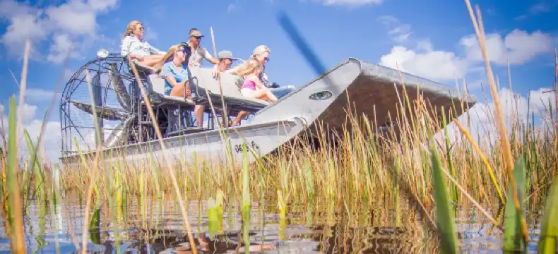 邁阿密戴德縣希爾頓格芮精選酒店住宿