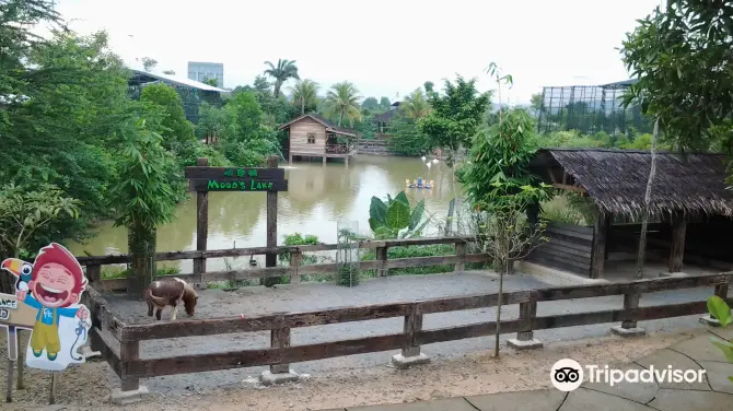 5_Farm In The City