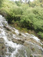 生態洞花園