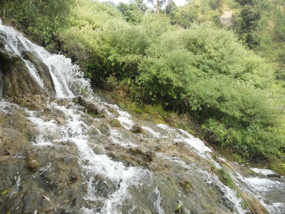 Hotels near Eco Cave Gardens