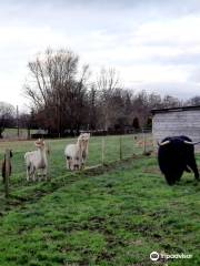 Robertsons The Larder, Farm Shop With Highland Cows , Beauly,