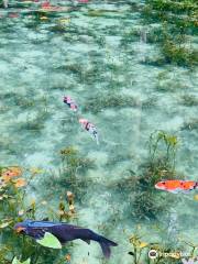 Monet’s Pond
