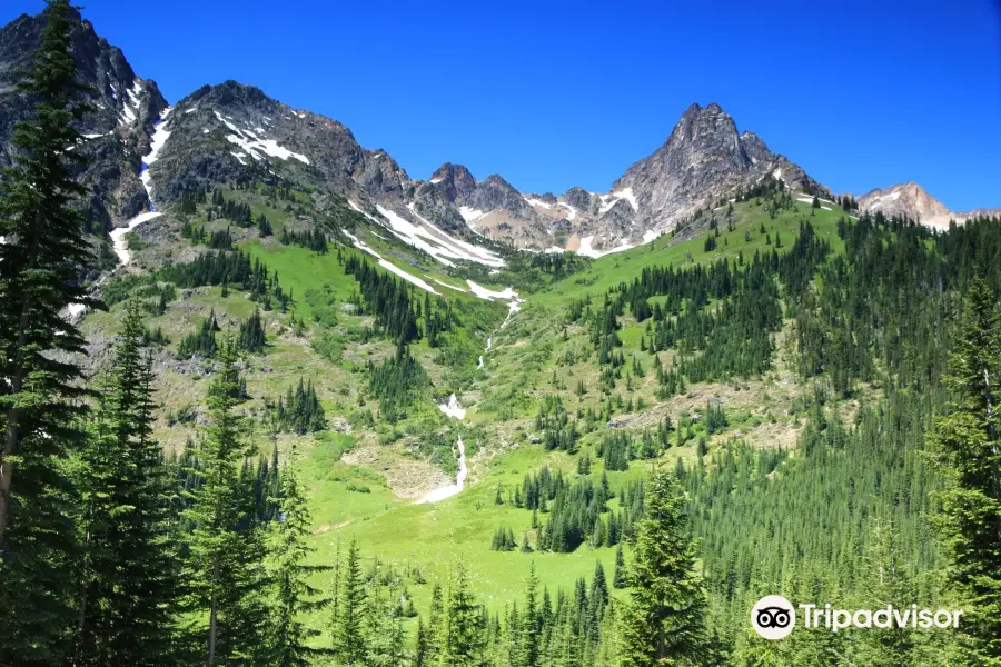 Washington Pass Overlook