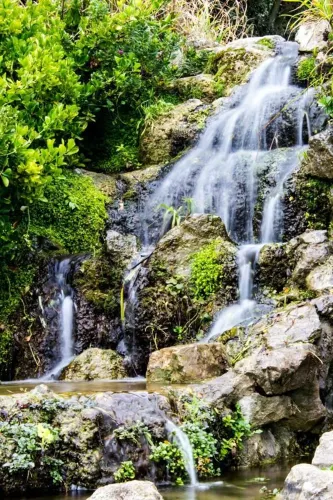 Felixstowe Sea Front Gardens