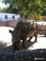 Зоопарк Almaty Zoo
