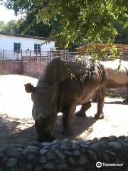 アルマトイ動物園