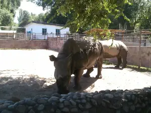 Almaty Zoo