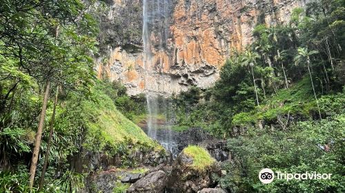 Purling Brook Falls, Springbrook National Park