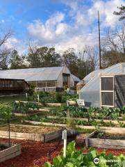 Aunt Katies Community Garden