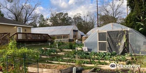 Aunt Katies Community Garden