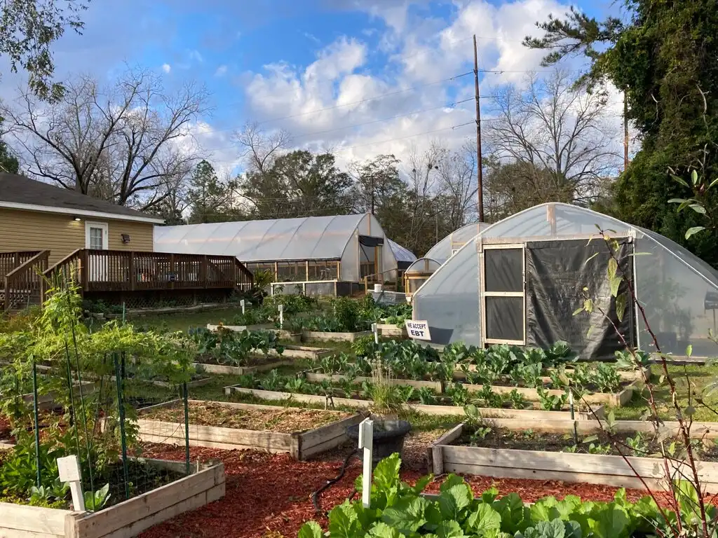 Hotels near Aunt Katies Community Garden