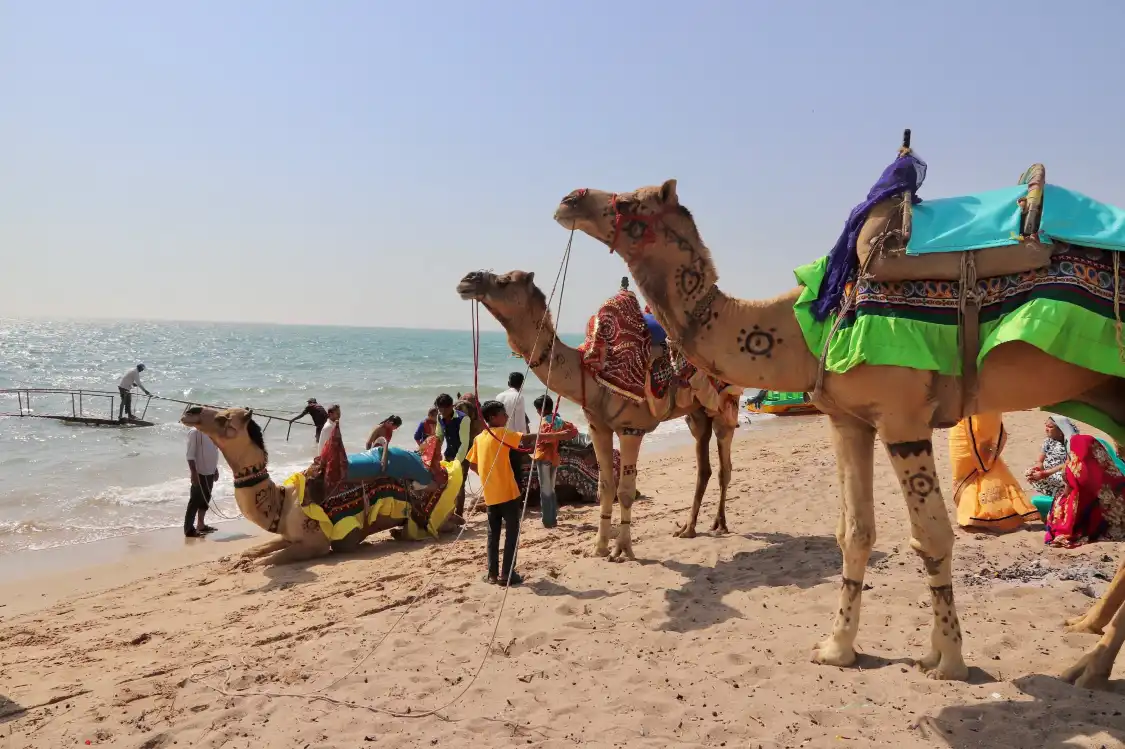 Hotels near Mandvi Beach