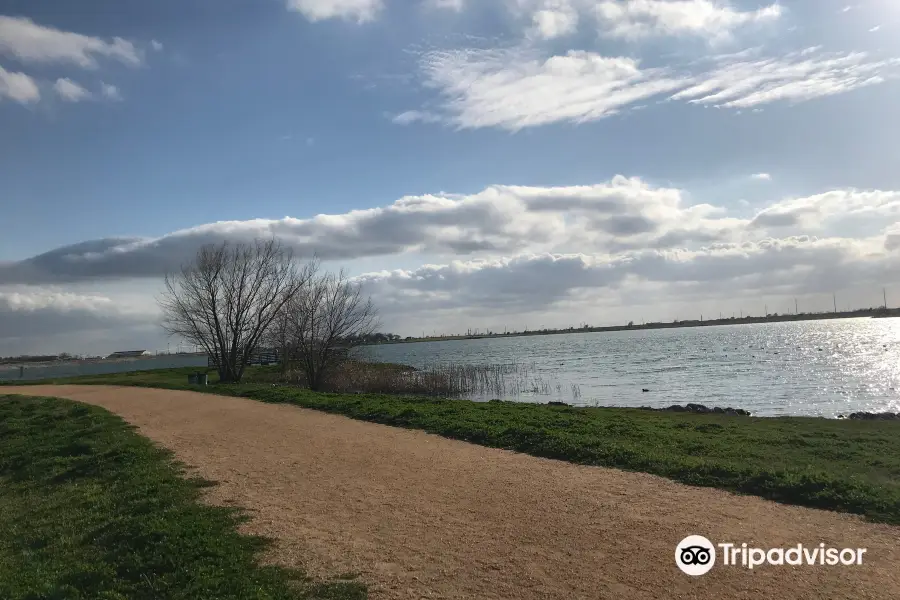 Lake Pflugerville