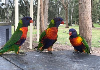 Sandy Beach Reserve