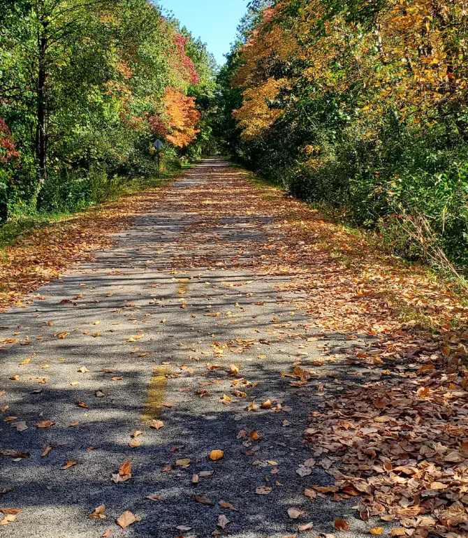 Monclova Township