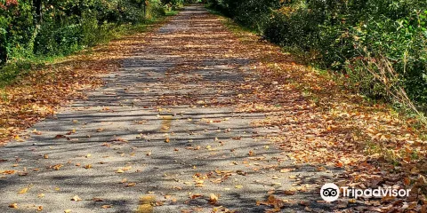 Wabash Cannonball Trail