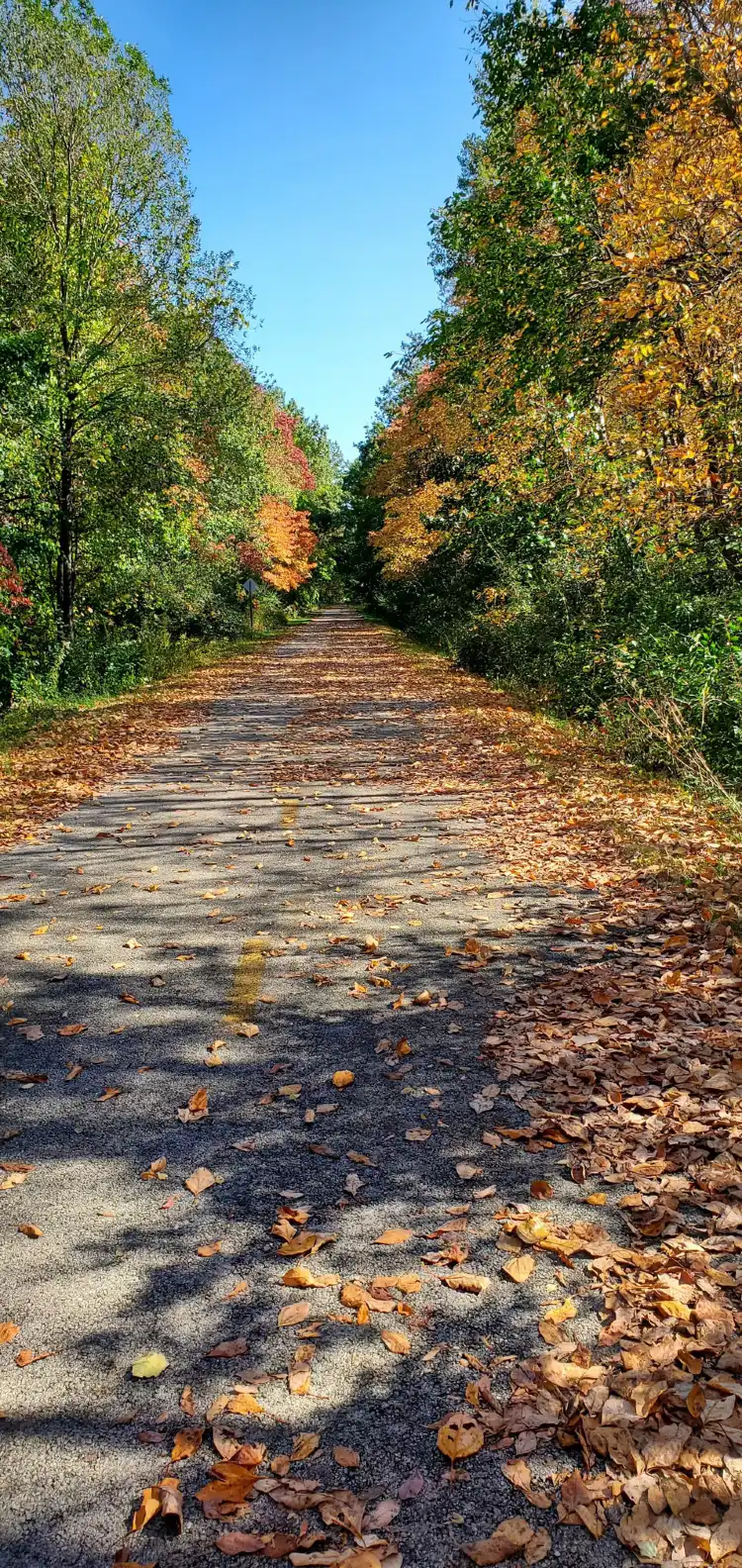 Monclova Township