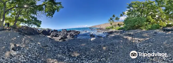 Manini Kapahukapu Beach