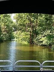 Reelfoot Lake Pontoon Boat Cruise