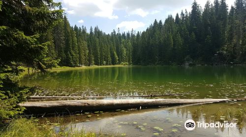 Zminje Lake